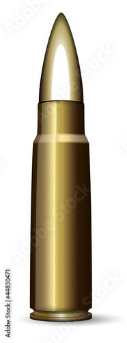 vector cartridge