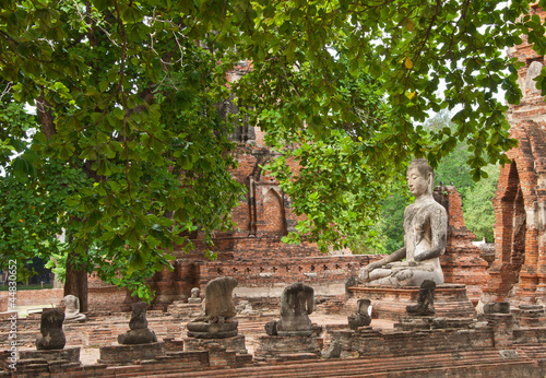 The big ancient buddha statue in ruined old temple at Ayutthaya