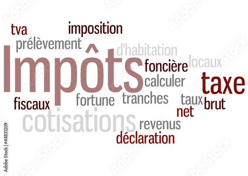 Nuage de Mot : Impôts