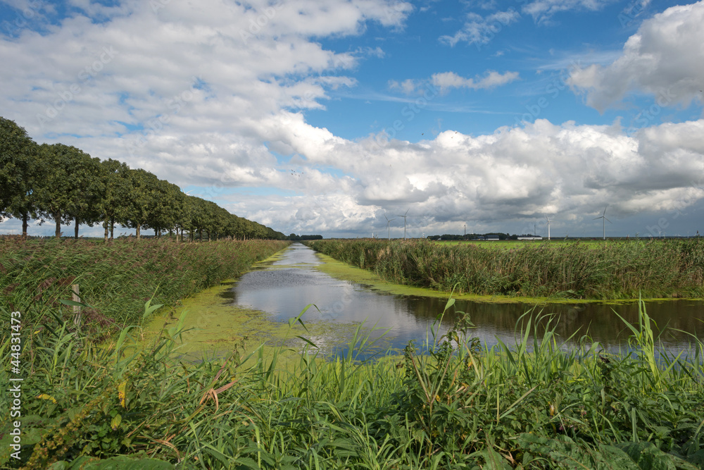 Obraz premium Canal through the countryside in summer