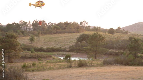 Helicopters fighting the forest fire in Portugal photo