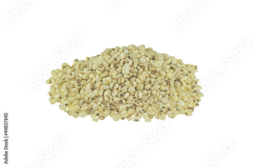Millet isolated on white background