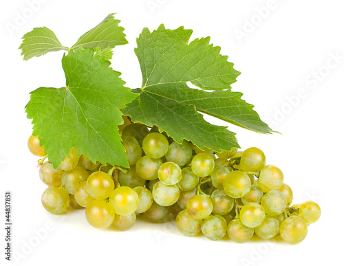 Fresh green grapes with leaves. Isolated on white