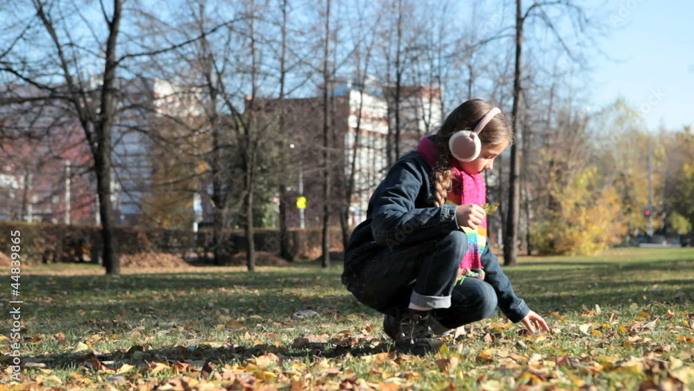 Autumn dreamer Autumn dreamer