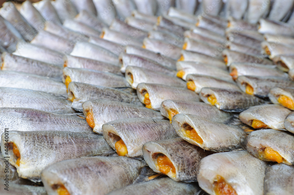 Dried Fishes Dried Fishes