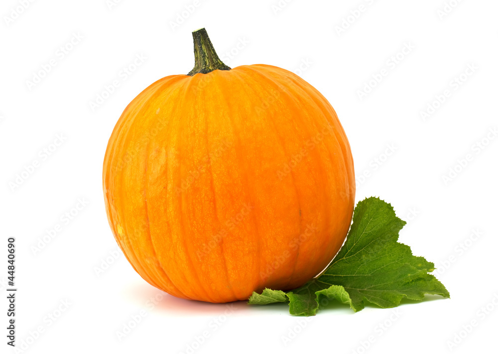 Obraz premium Fresh pumpkin with leaves isolated on white