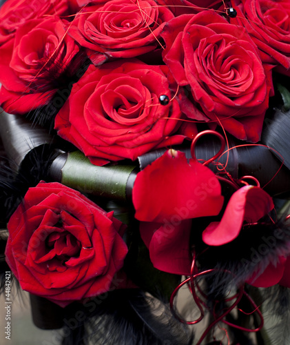 Fotografie bouquet de roses rouge décorations noires