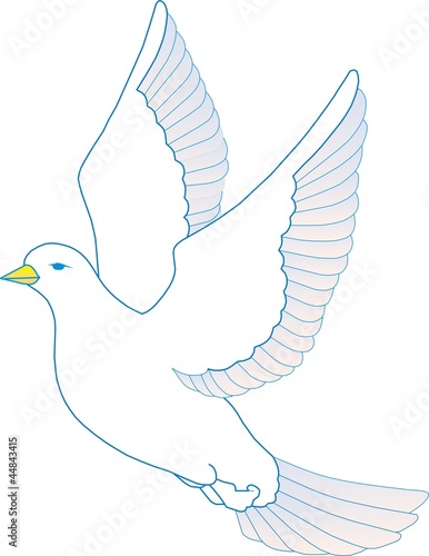 oiseau