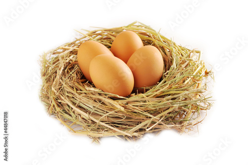 Chicken eggs