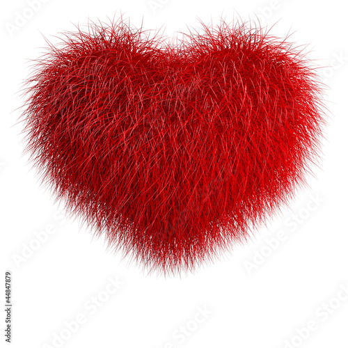 Heart from red fur