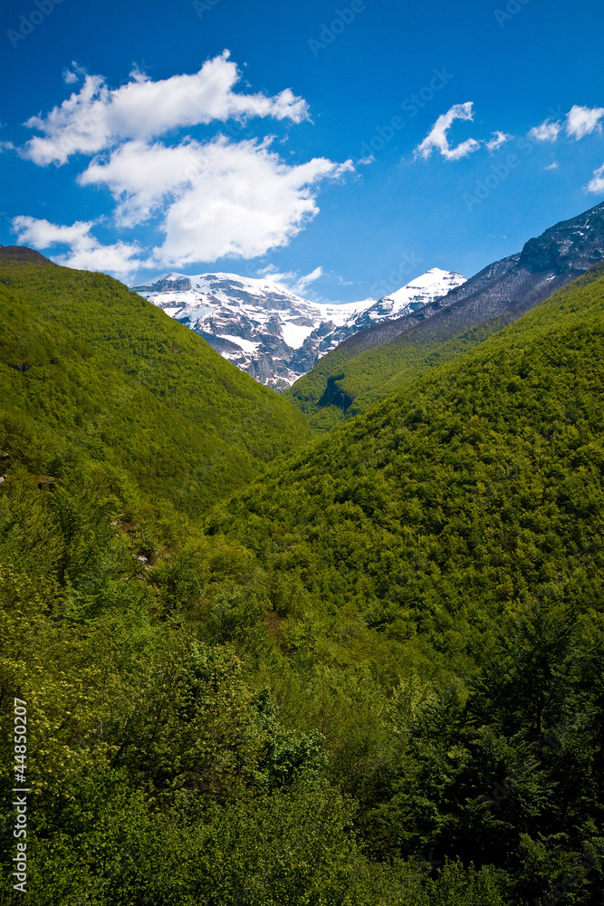 Fototapeta premium Majella innevata vista dalla faggetta, Abruzzo
