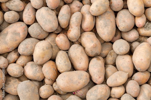 Potatoes