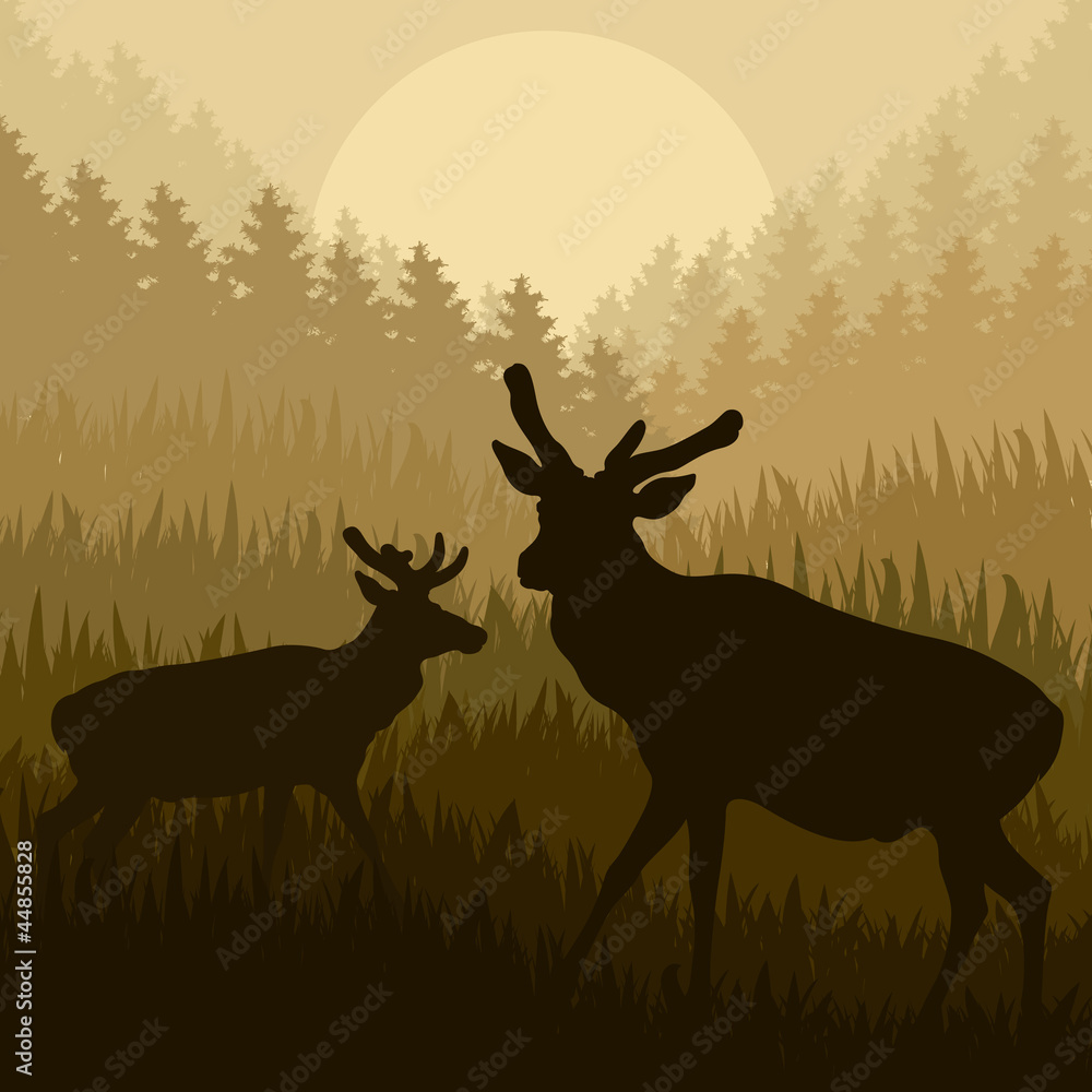 Deer in wild nature forest landscape background vector Deer in wild nature forest landscape background vector