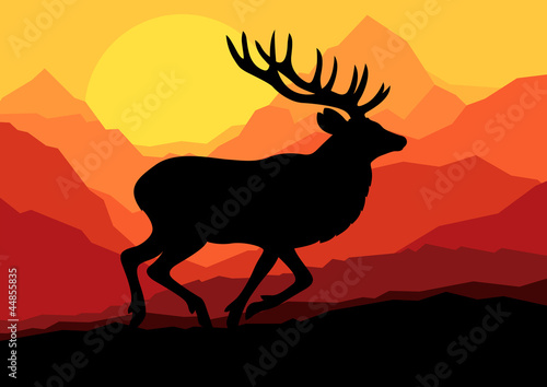 Deer in wild nature forest landscape background vector