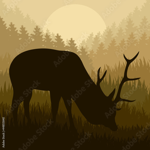 Deer in wild nature forest landscape background vector