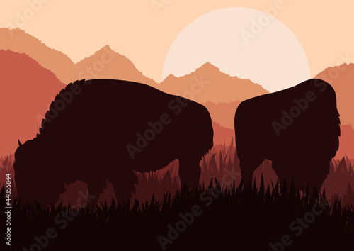Bison family in wild America nature landscape vector © kstudija
