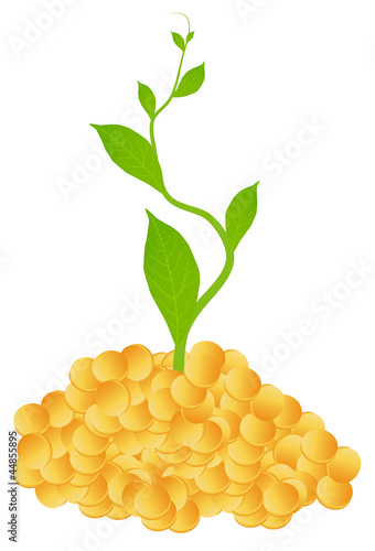 Golden pile vector money concept background