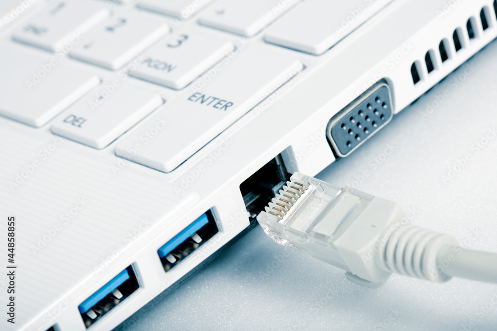 Network cables connected to computer Network cables connected to computer