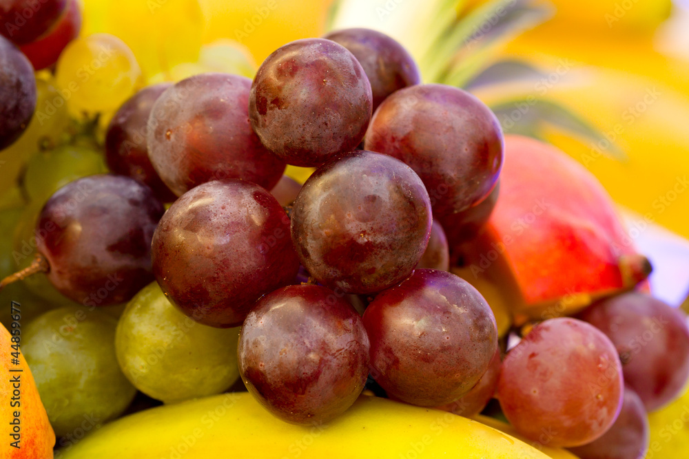 Fototapeta premium Owoce