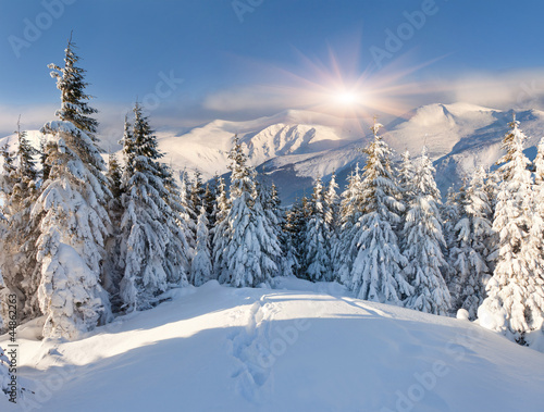 Beautiful winter landscape in the mountains © Andrew Mayovskyy