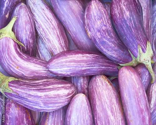 fresh organic eggplants closeup, natural background