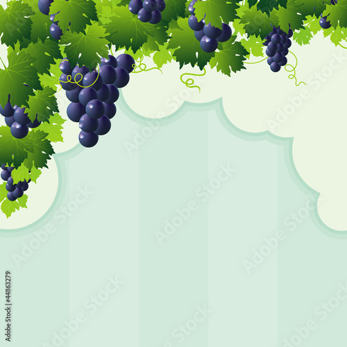 blue vine grape cutout frame