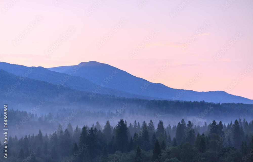 Mountains and forest fog of wild  Bieszczady National Park