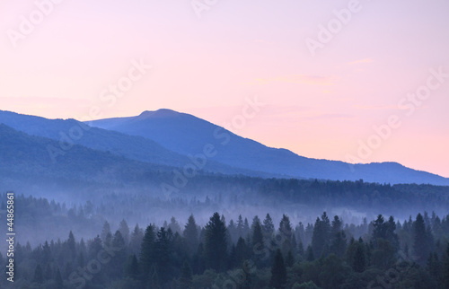Mountains and forest fog of wild Bieszczady National Park