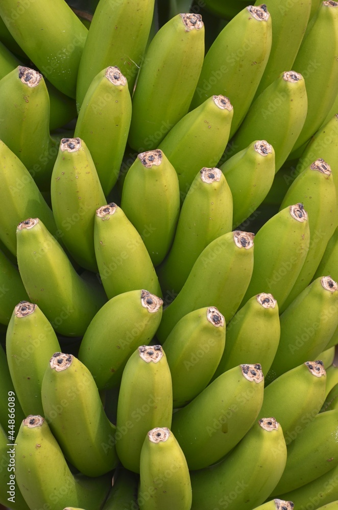 Bananen Bananen