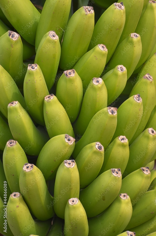 Bananen