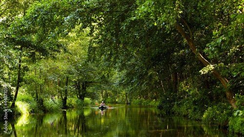 Foto Spreewald Landschaft