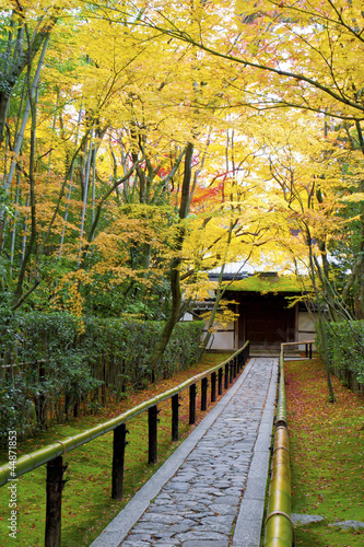 Beautiful temple and pathway in autumn Kyoto Jpan