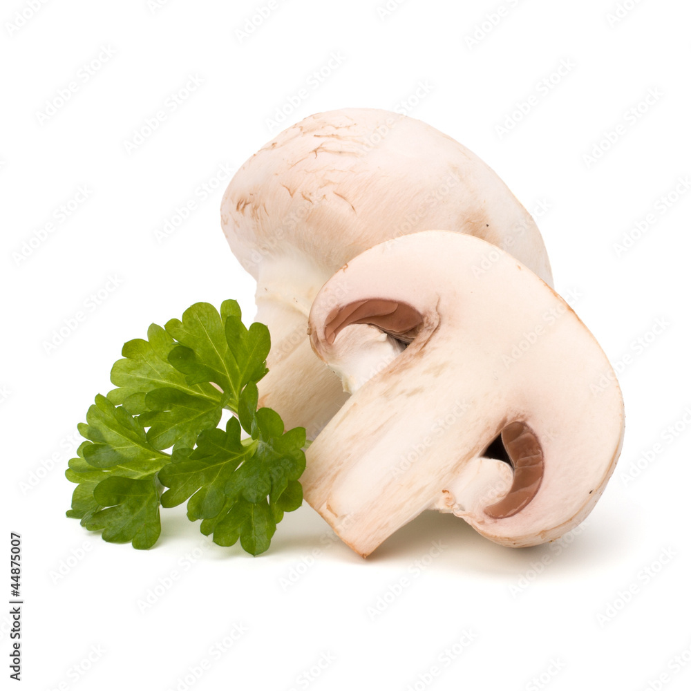 Fototapeta premium Champignon mushroom and fresh parsley