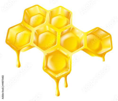 Honeycomb with dripping honey
