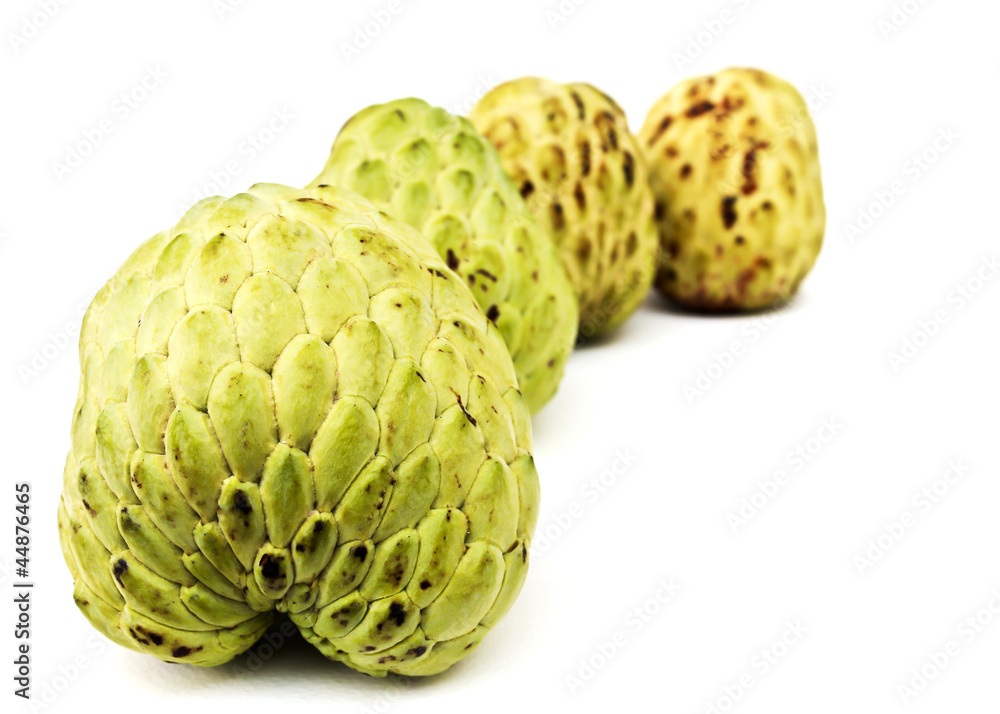 Obraz premium Custard apple