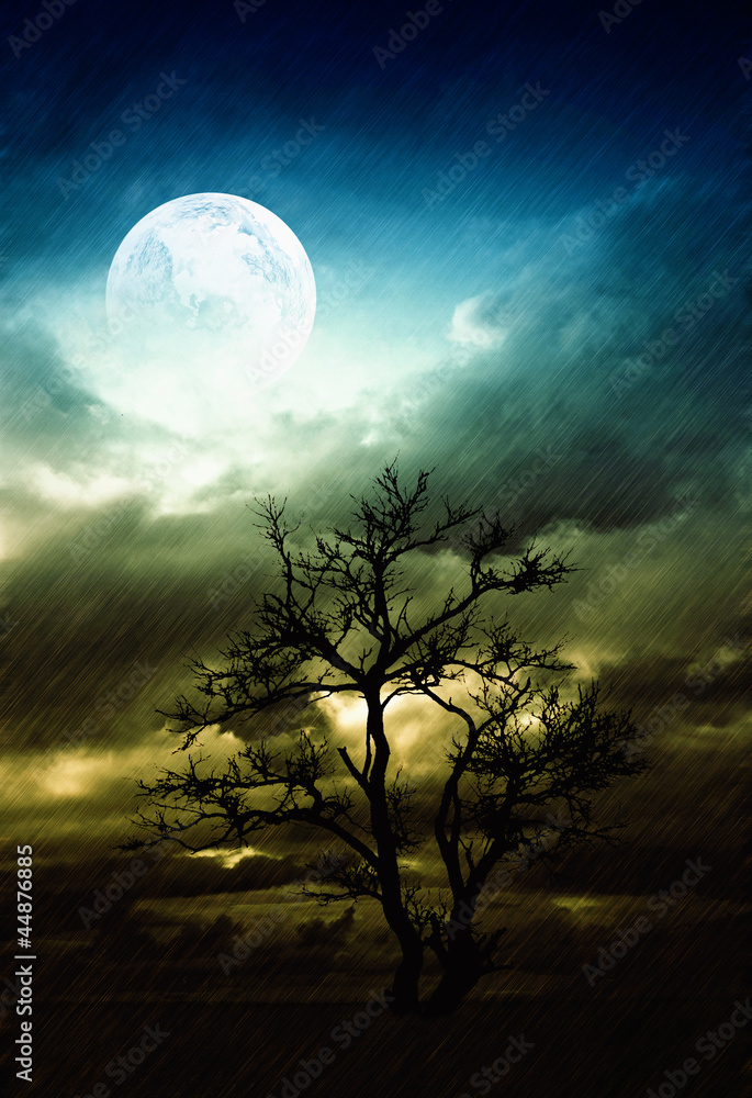 Rain Rain