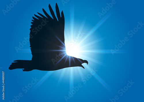 Aigle_Soleil_Rayons