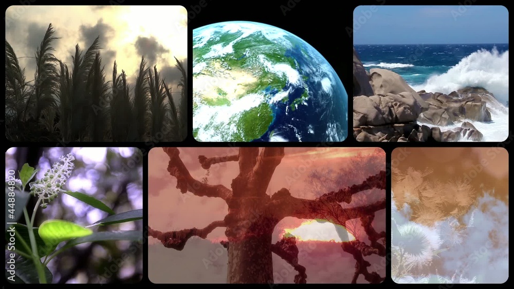 wonderful earth