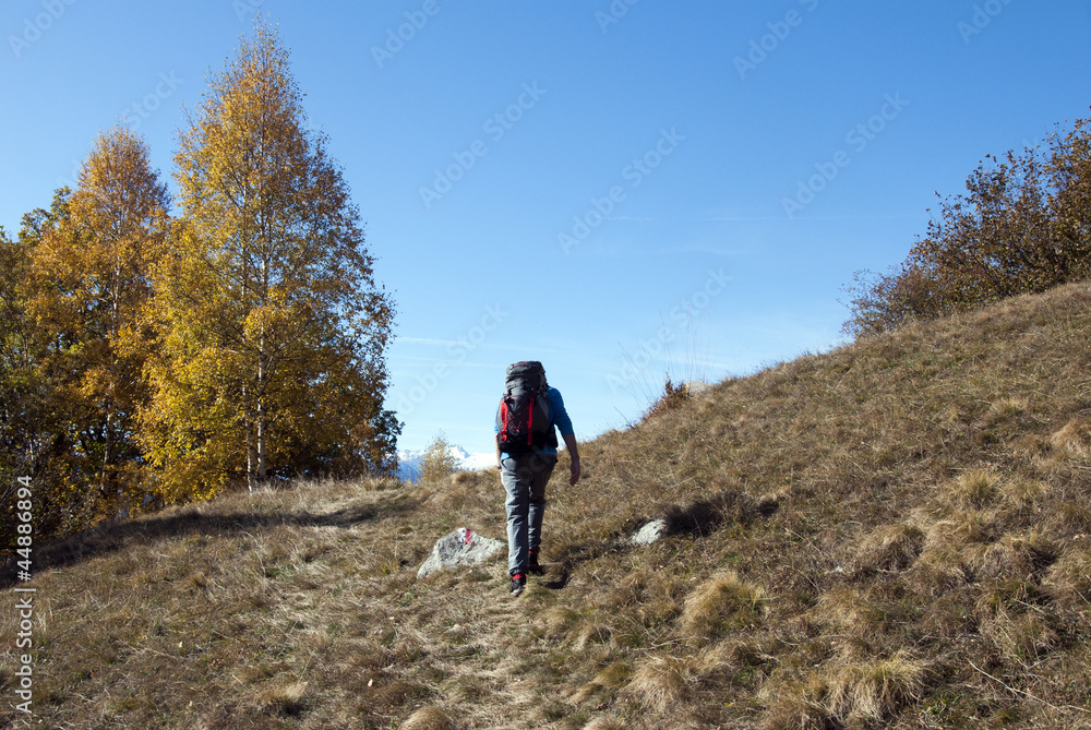 Hiker Hiker
