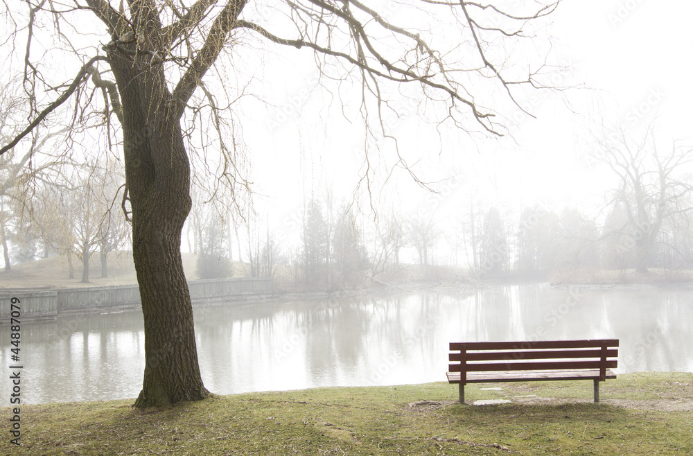 Park bench overlooks misty lake