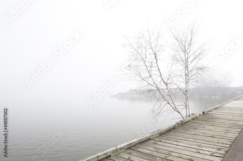 Pier and white birch trees on foggy lake © Jeanne McRight