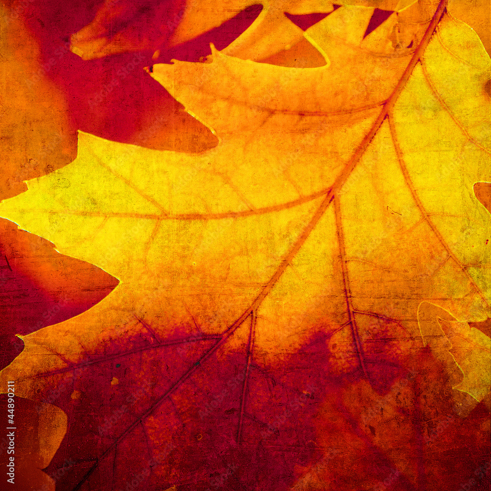 grunge background with autumn leaves grunge background with autumn leaves