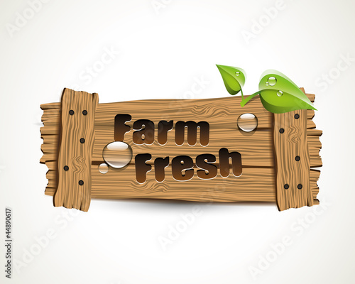 Farm fresh - wooden bio icon