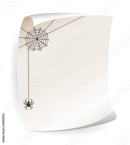 Paper notice board with spiderweb and spider