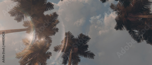 palm trees against blue sky