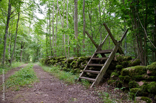 Stile at dirtroad in forest