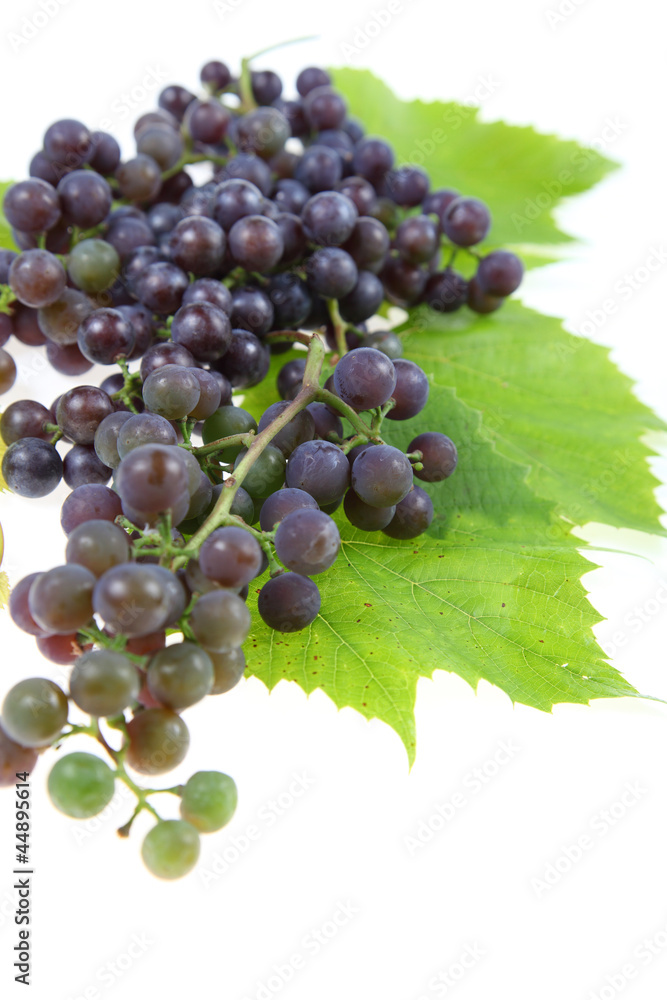 Fototapeta premium Red grape with leaves