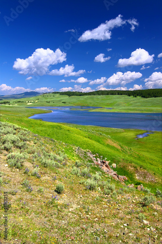 Yellowstone River in Hayden Valley photo