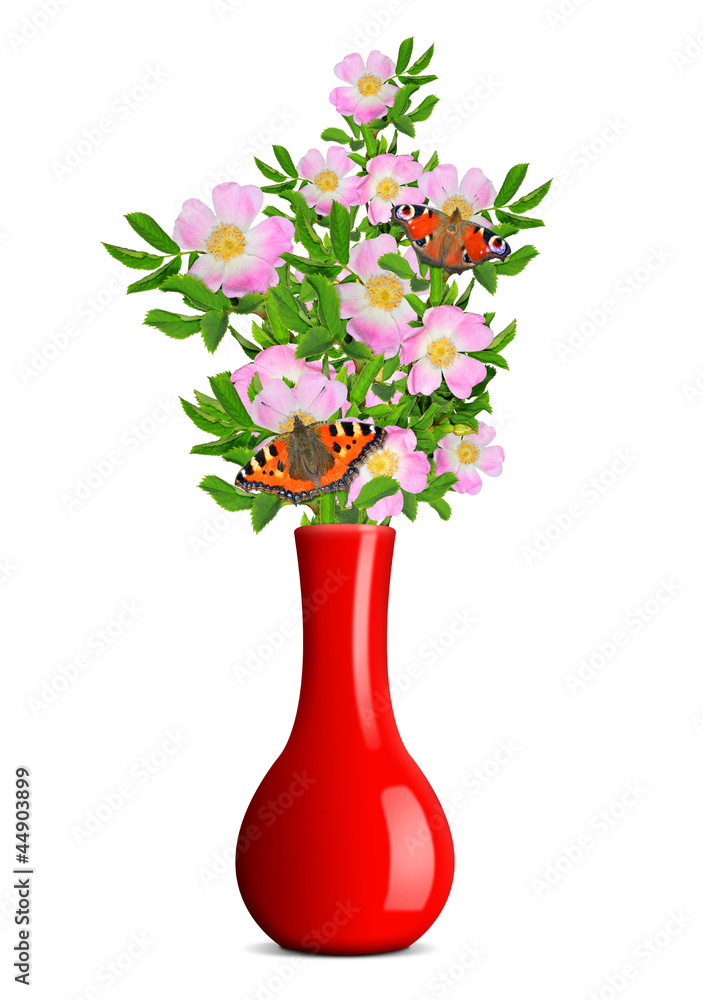 dog rose with butterflies in the red vase