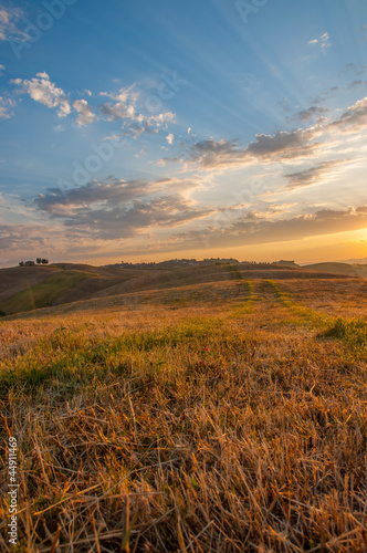 Early morning light in the Tuscany region of Italy © horvathta